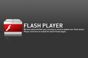Flash intro website