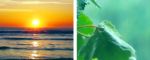 beach-vs-forest-audio